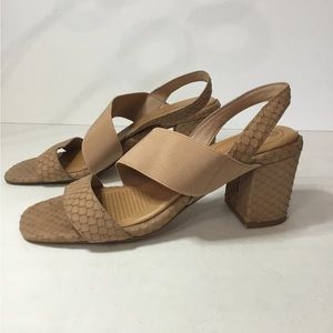 Corso Como Women’s Hally2 Heeled Sandal in Latte Snake Size 8